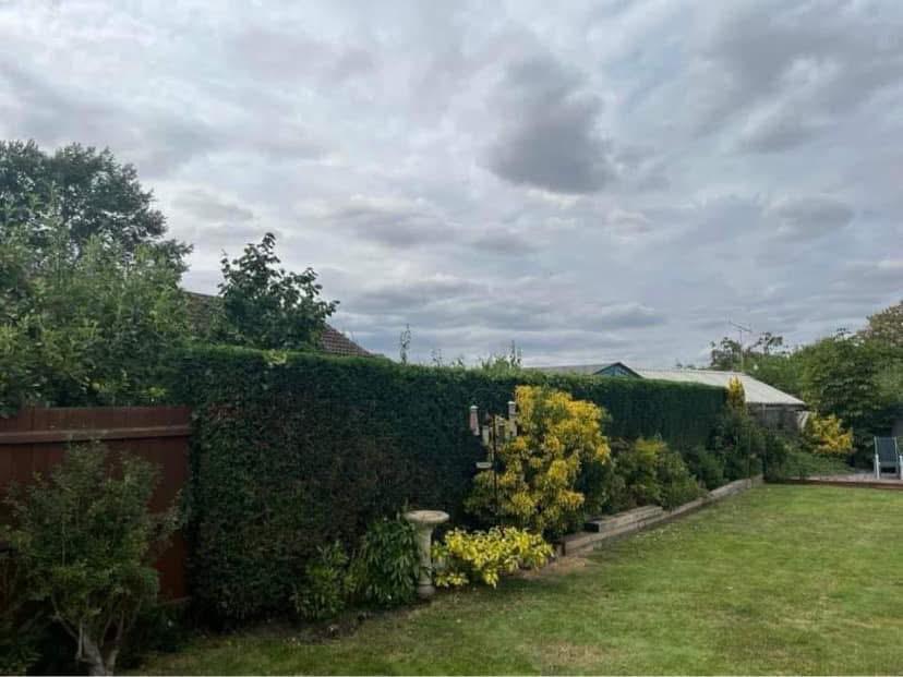 New close-board timber fence installation with concrete posts in a Glasgow garden by Oaklands Treecare