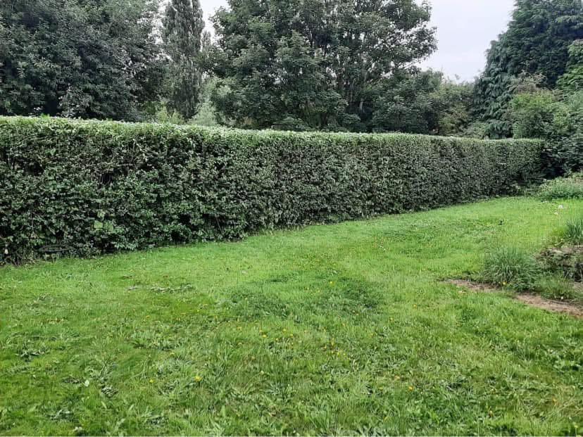 Garden fence with integrated gate